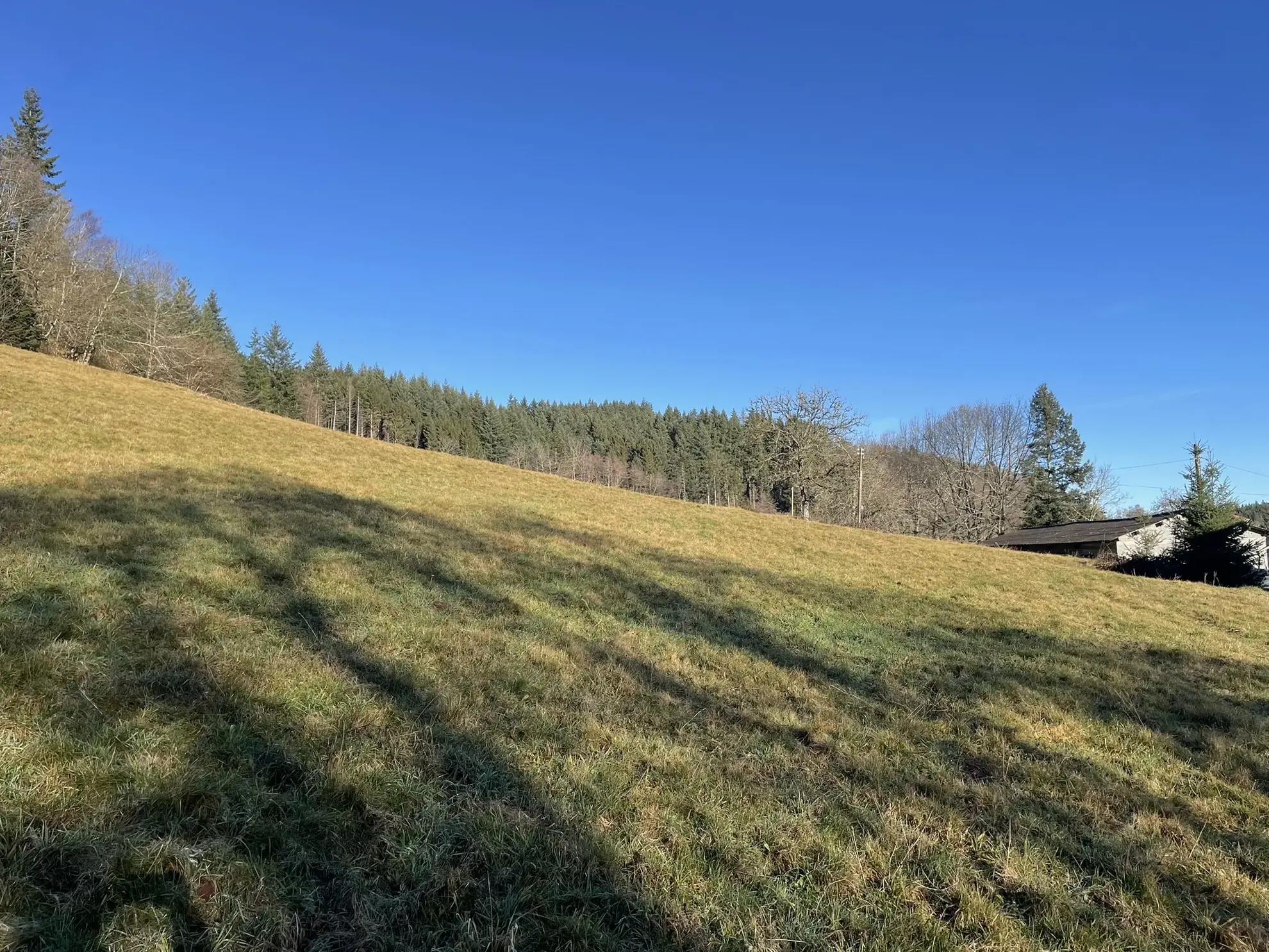Corps de ferme à rénover sur 5 hectares à Cours-la-Ville - Opportunité rare 