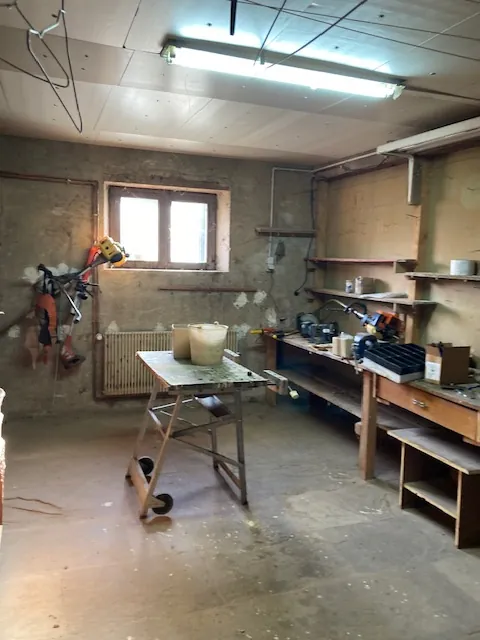 Belle propriété avec étang, terrain de 8000 m² à Bremenil près de Badonviller 