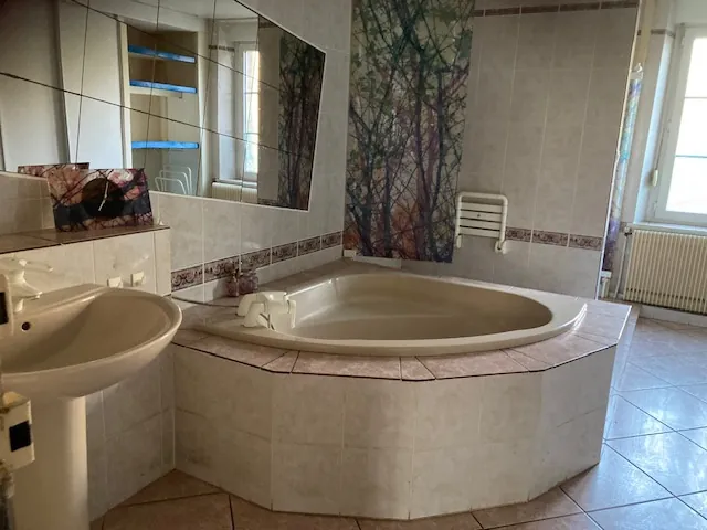 Belle propriété avec étang, terrain de 8000 m² à Bremenil près de Badonviller 