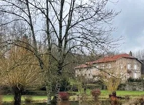 Belle propriété avec étang, terrain de 8000 m² à Bremenil près de Badonviller 