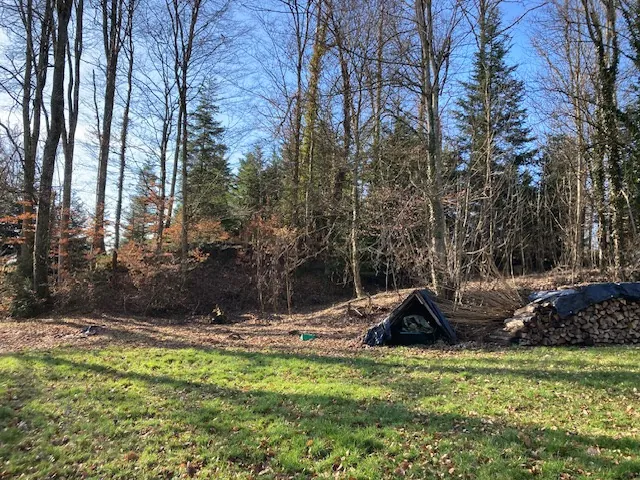 Belle propriété avec étang, terrain de 8000 m² à Bremenil près de Badonviller 