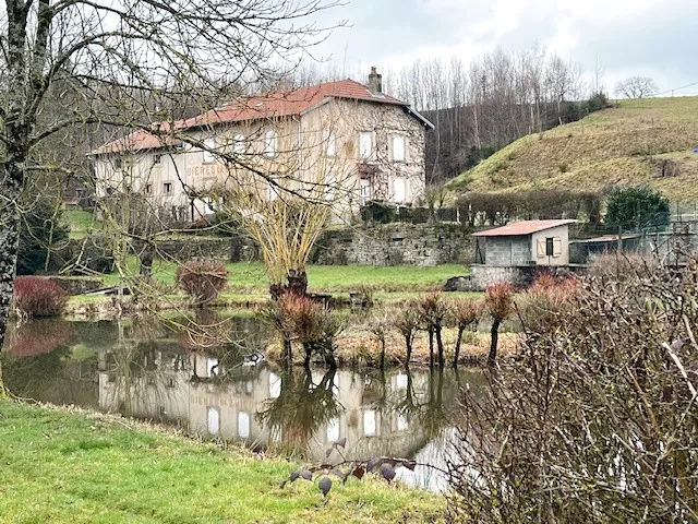 Belle propriété avec étang, terrain de 8000 m² à Bremenil près de Badonviller 