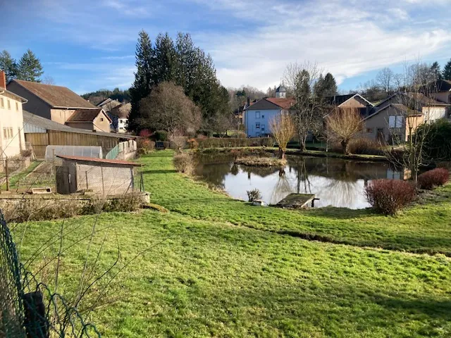 Belle propriété avec étang, terrain de 8000 m² à Bremenil près de Badonviller 