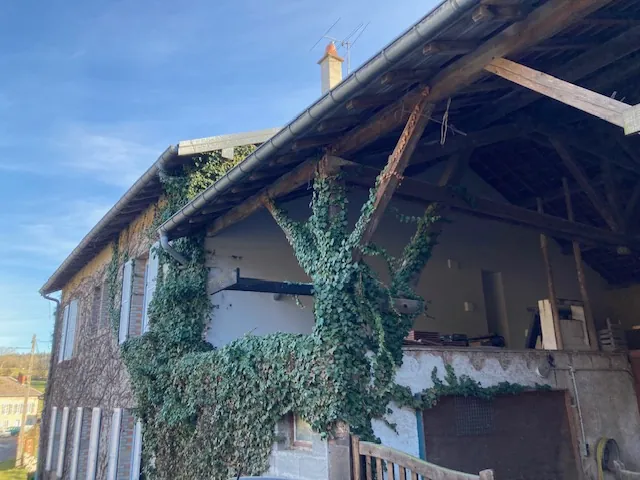 Belle propriété avec étang, terrain de 8000 m² à Bremenil près de Badonviller 