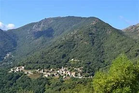Terrain constructible de 1992 m² avec vue montagne à Loreto-di-Tallano 