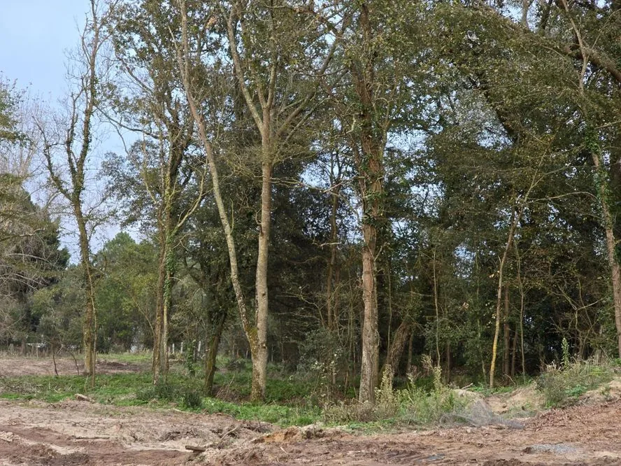 Terrain à vendre dans le secteur Orouët à Saint-Jean-de-Monts, environnement privilégié