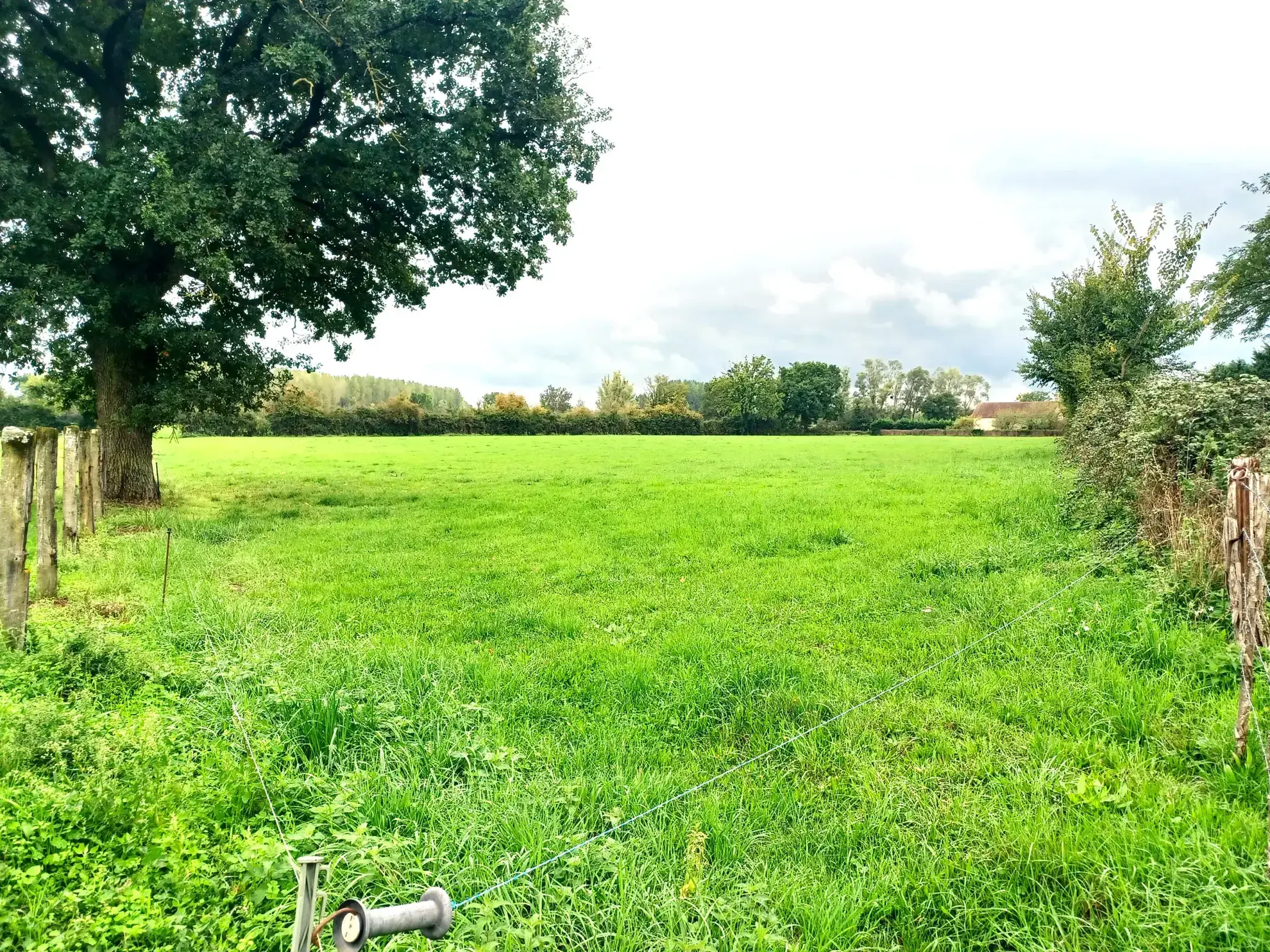 Maison de campagne à vendre avec grand terrain de 20000 m² à Langeron 