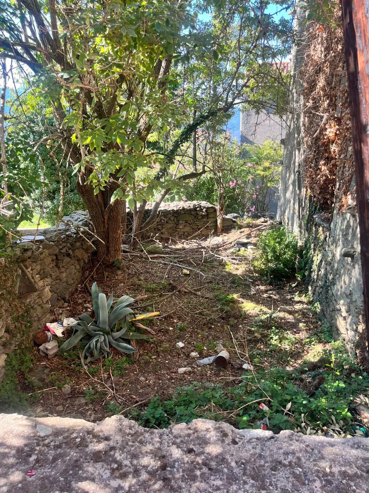 Maison à rénover de 91 m² à Bigorno avec jardin et cave 