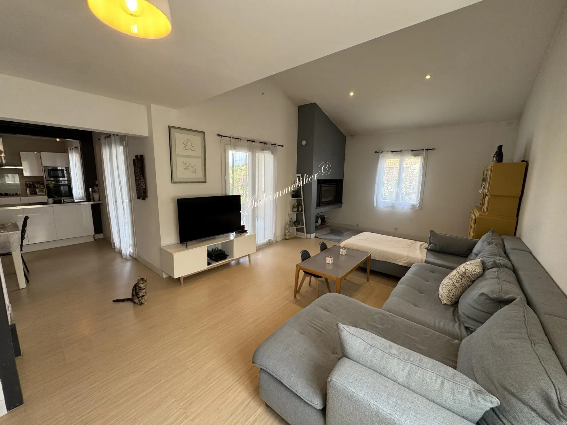 Belle villa de plain-pied avec garage et terrasse à Limoux 