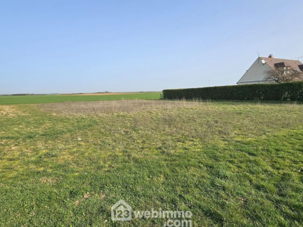 Achat terrain constructible de 1331 m² à Guercheville, proche La Chapelle-la-Reine