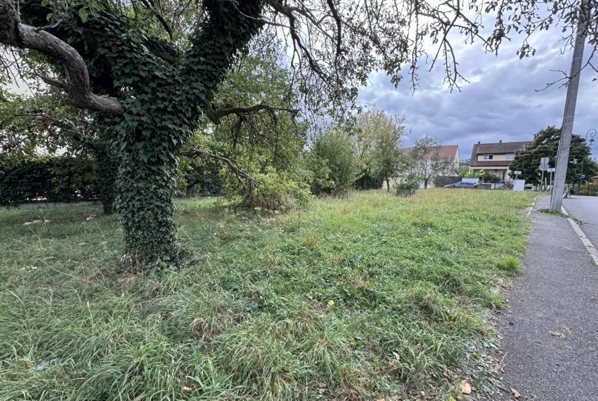 Terrain constructible de 902m² à Stry sur Seine, quartier calme et résidentiel 