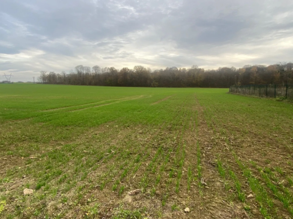 Terrain à bâtir de 688 m² à Goins, proche La Ferté-sous-Jouarre