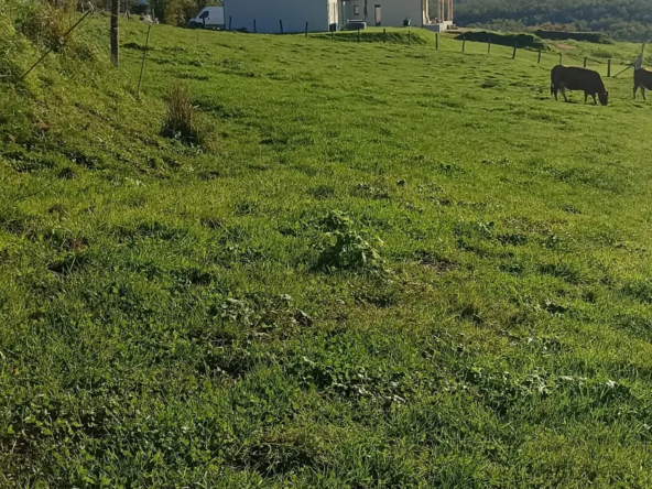 Terrain constructible de 1941 m² à Dampniat près de Brive