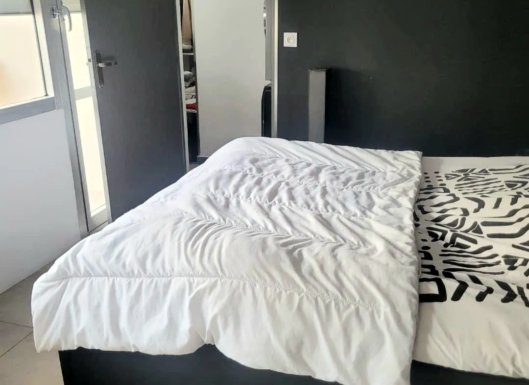 Appartement T2 lumineux à vendre en centre-ville d’Alès 