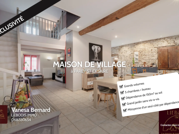 Charmante maison ancienne avec dépendance et grand terrain à Parey-Saint-Césaire