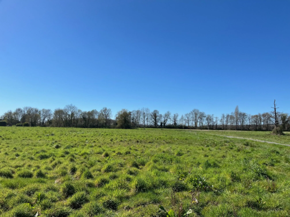 Terrain à vendre à La Force (24) – Secteur calme et proche du bourg