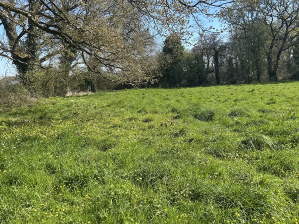 Terrain à vendre à La Baule-Escoublac, 695 m² constructibles, sans constructeur