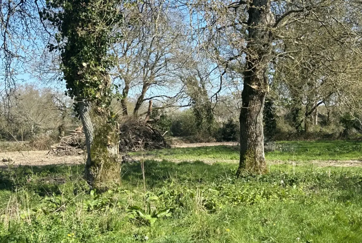 Terrain à vendre à La Baule-Escoublac, 695 m² constructibles, sans constructeur 