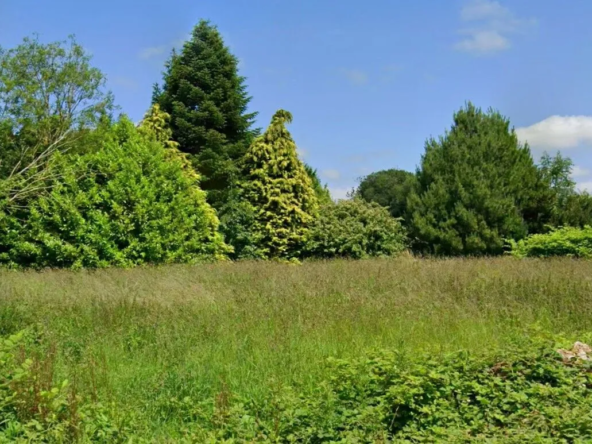 Terrain à bâtir de 1100 m² à Pavilly, idéal pour votre projet immobilier