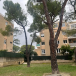 Charmant T2 de 47 m² avec terrasse à Venelles - Secteur prisé