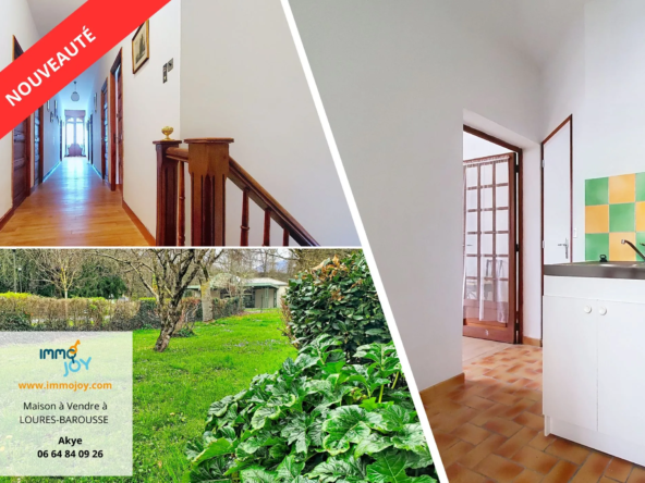 Maison à vendre à Loures-Barousse - 9 pièces, 237 m², maison familiale avec studios