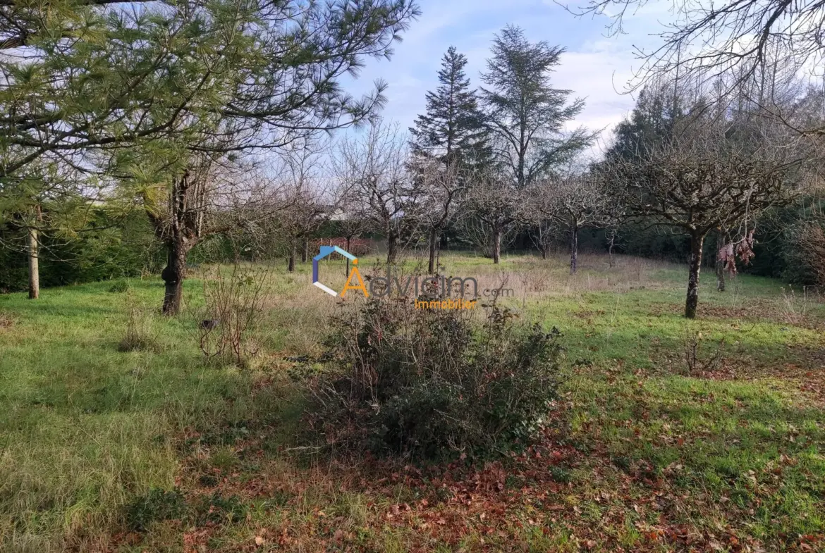 Maison à vendre à Verteuil-sur-Charente avec jardin arboré 