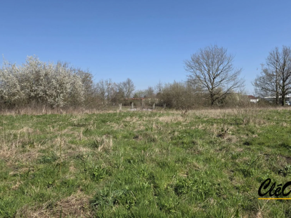 Terrain constructible de 2528 m² à Saint-Germain-du-Bois - Idéal investissement ou projet familial