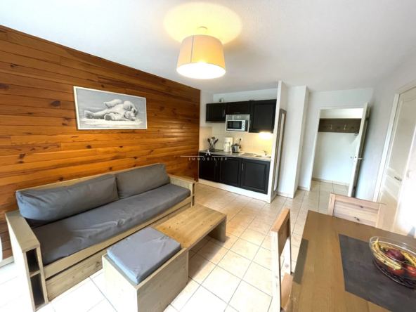 Appartement T2 à Saint-Mamet avec bail commercial, vue montagne et piscine