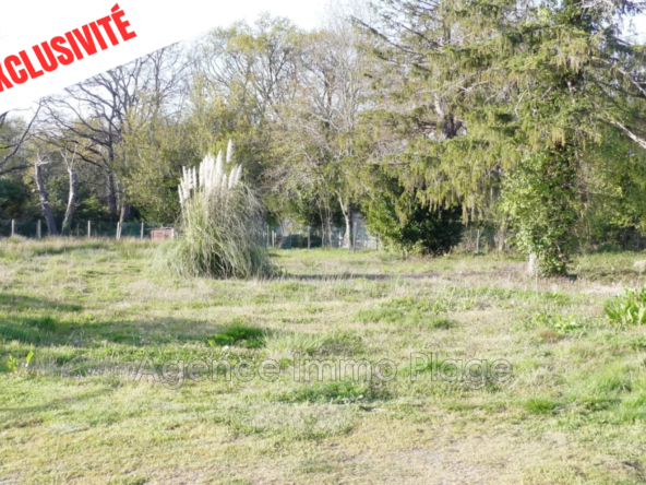 Magnifique terrain constructible à Saint-Vivien de Médoc avec permis de construire