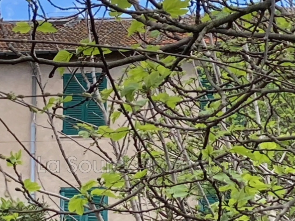Belle maison de maître à Vidauban avec terrasse, jardin et cave
