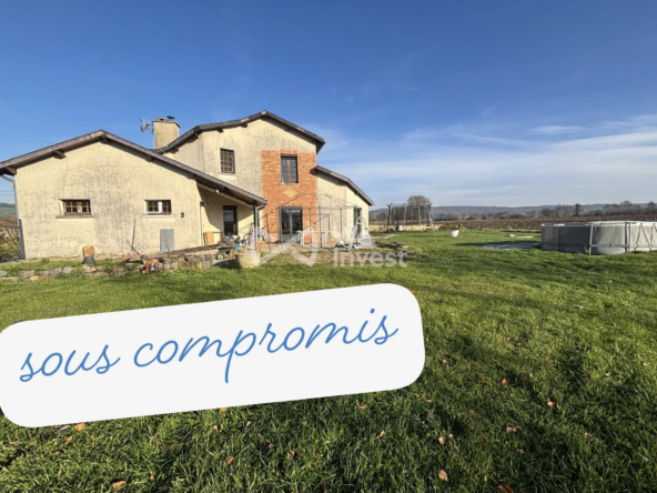 Maison à vendre à Mouzon - 5 chambres, grand terrain, charme atypique