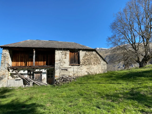 Ensemble immobilier avec maison, appartement, grange, vue sur le Pic du Midi
