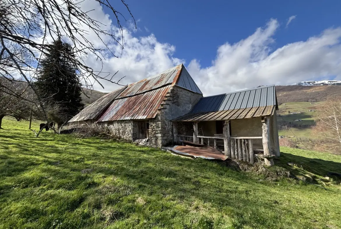 Ensemble immobilier avec maison, appartement, grange, vue sur le Pic du Midi 