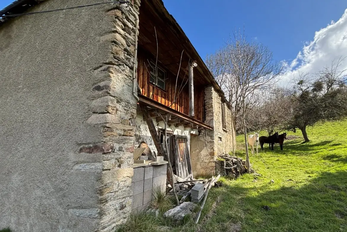 Ensemble immobilier avec maison, appartement, grange, vue sur le Pic du Midi 