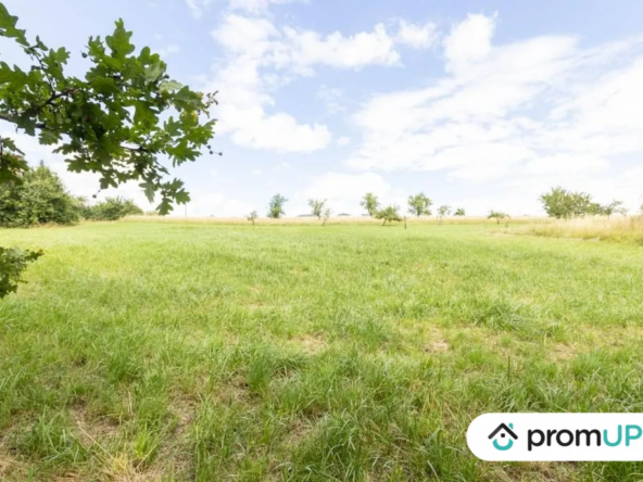 Terrain constructible de 1110 m² à Guenviller – Idéal pour votre projet résidentiel