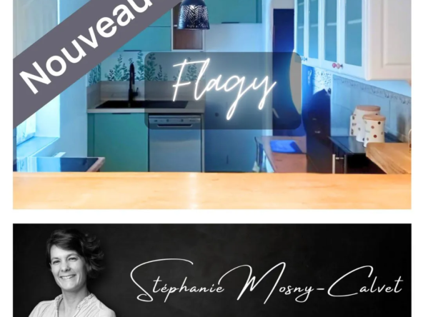 Longère rénovée en loft lumineux à Flagy 77 - Idéal famille ou couple