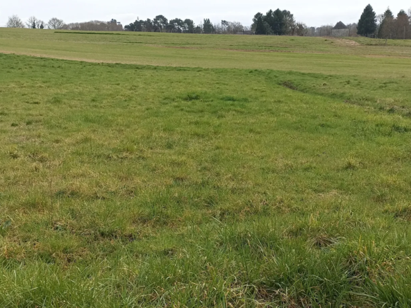 Terrain constructible plat de 1545 m² entre Saint-Vience et Ussac