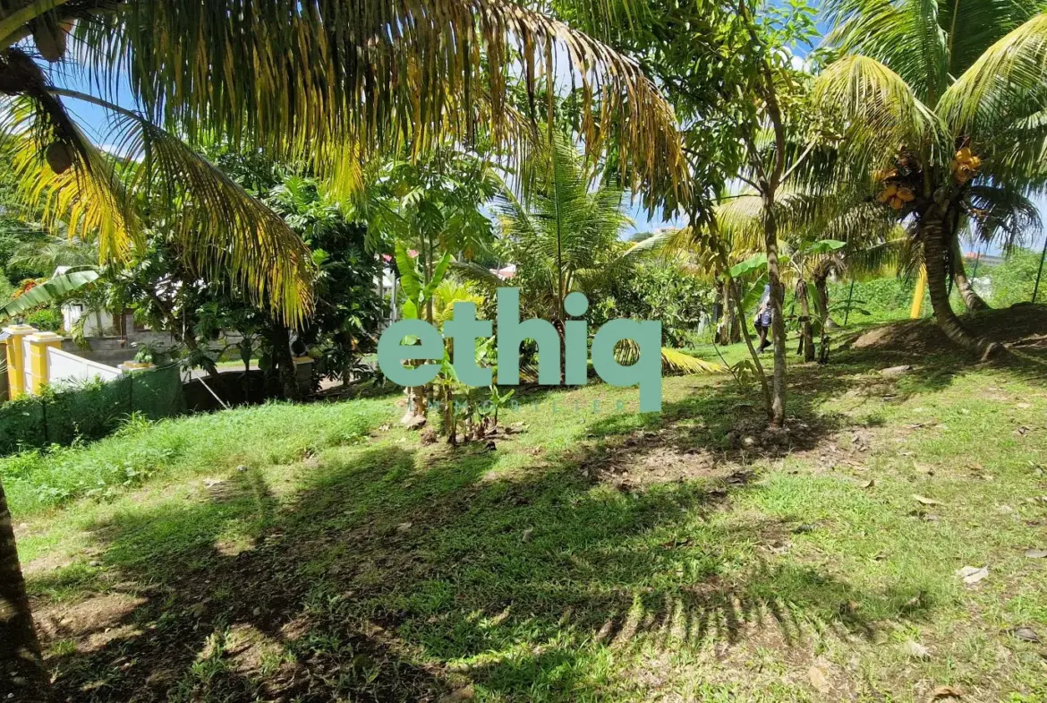 Terrain constructible de 500 m² aux Abymes, liberté totale de construire 