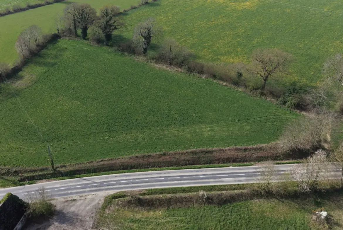 Corps de ferme à rénover sur plus de 7 hectares à Saint-Denis-de-Gastines 