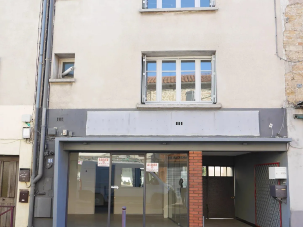 Investissez dans un immeuble de rapport avec multiple potentiel à Saint-Christol-lez-Alès