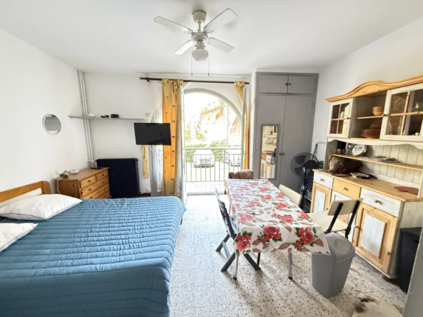 Charmant studio lumineux avec vue dégagée et parking à Amélie-les-Bains Palalda