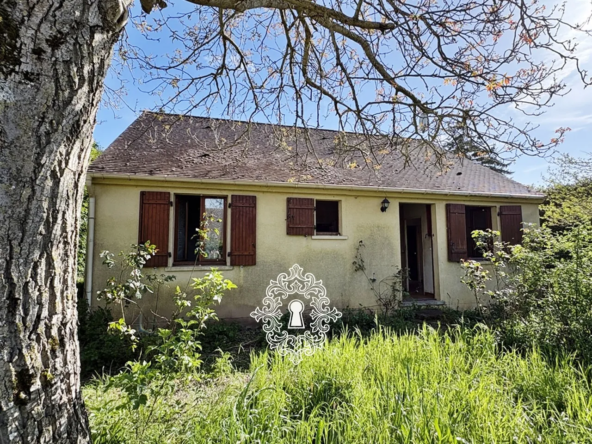 Belle maison traditionnelle à Bray-sur-Seine avec jardin clos de 929 m²