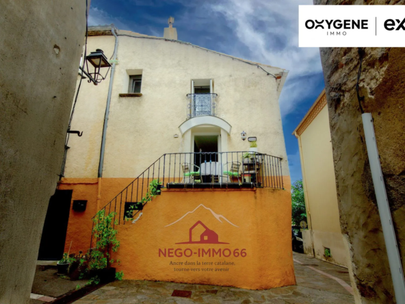 Maison de village à Cassagnes avec espace professionnel et habitation indépendante