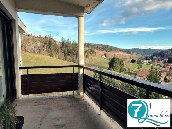 Appartement lumineux de 40 m² avec terrasse et cave aux Hôpitaux Neufs