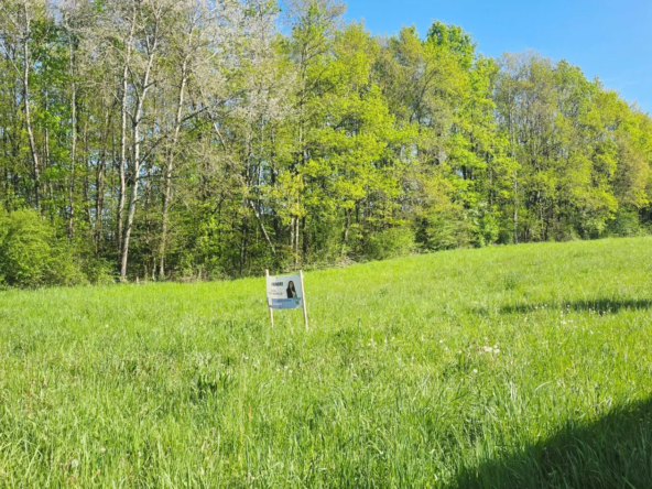 Terrain constructible de 1000 m² à Varetz – Viabilisé et proche de la nature