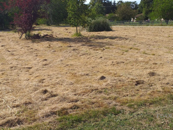 Terrain constructible à vendre à Saint-Vivien-de-Médoc, proche des plages et commodités