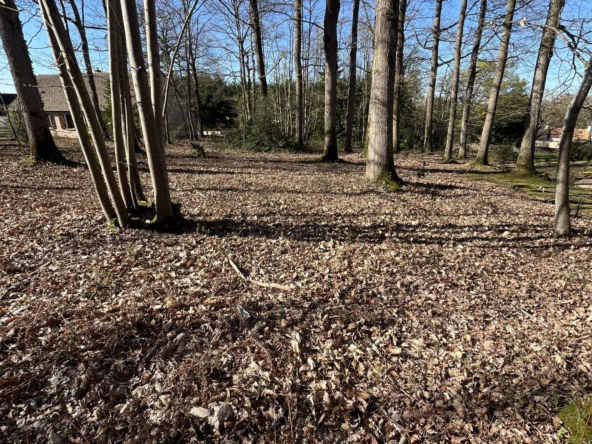 Terrain à bâtir de 1210 m² à Fyé, environnement paisible et naturels