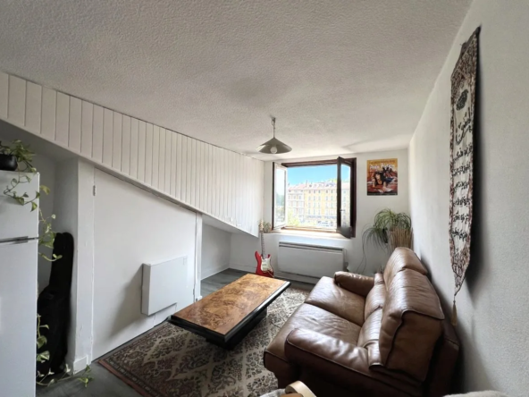 À vendre appartement T2 à Grenoble Quai Perrière avec vue dégagée et proximité des commodités