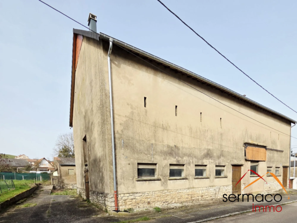Bâtiment industriel à Bliesbruck avec toiture neuve, idéal investisseurs et professionnels