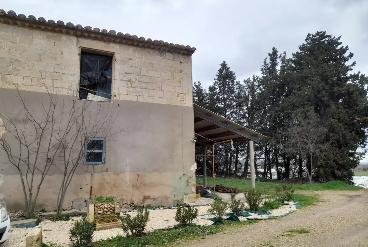 Local en Pierre de 260 m² à Saint-Gilles avec Fort Potentiel de Rénovation 